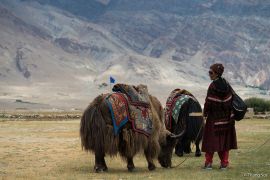 Những điều thú vị ở Ladakh Ấn Độ